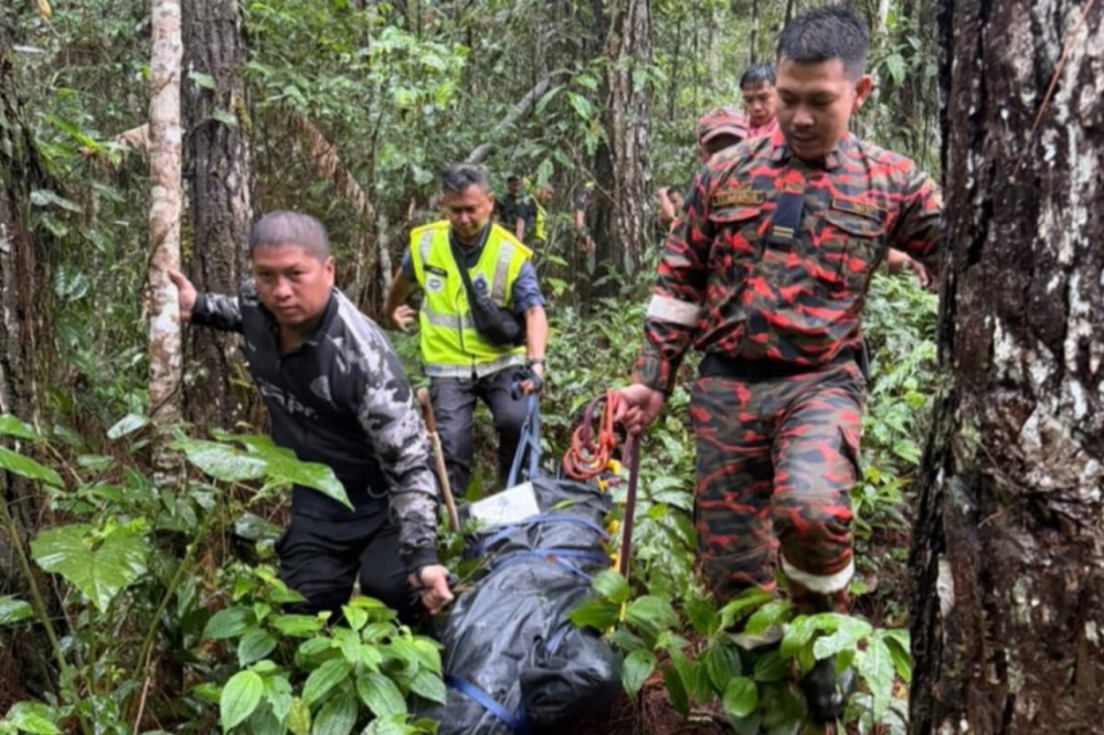 Villagers discover body of 48‑year‑old man in Kampung Togudon forest, Penampang police say struck by falling tree