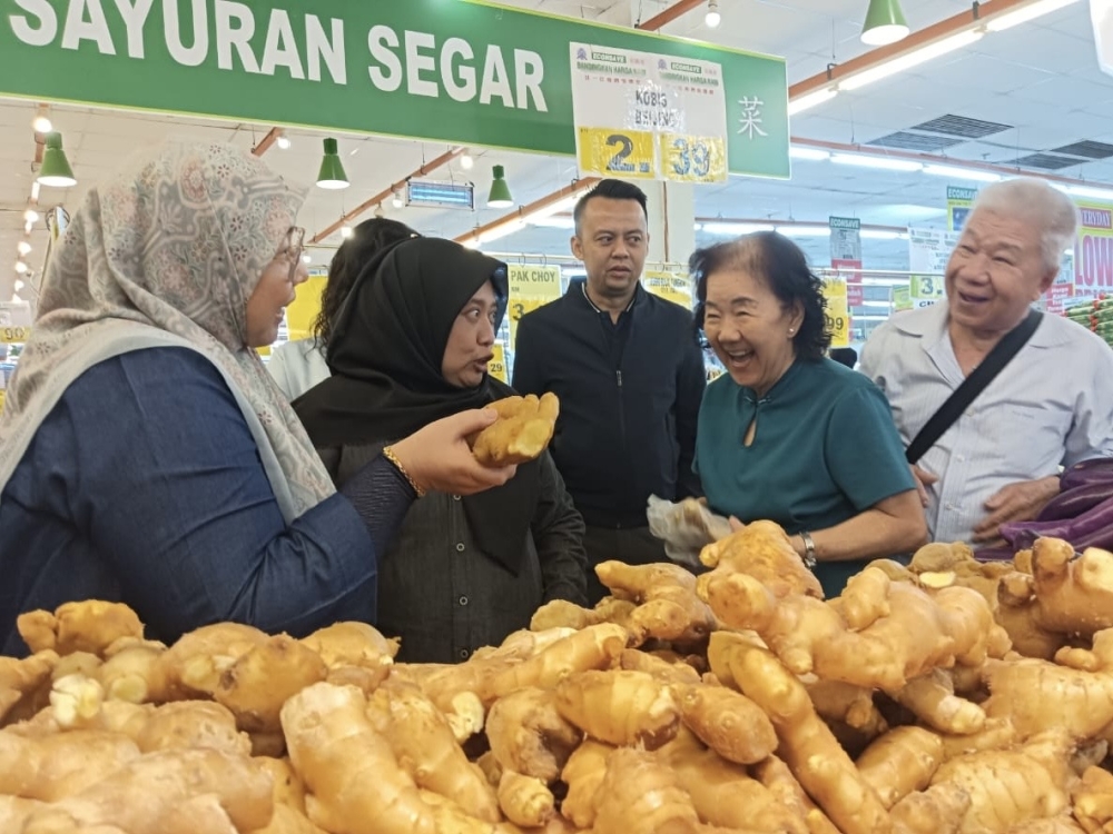 Pakatan top leaders will decide Puteri Wangsa seat dispute, says PKR sec-gen