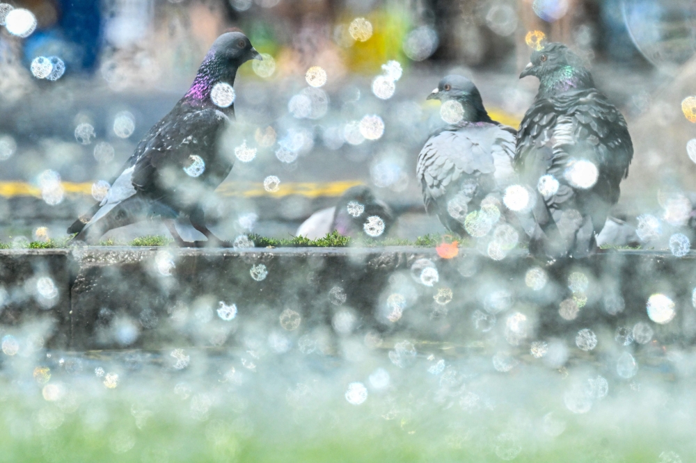 Nature’s newest predator? Extreme heat