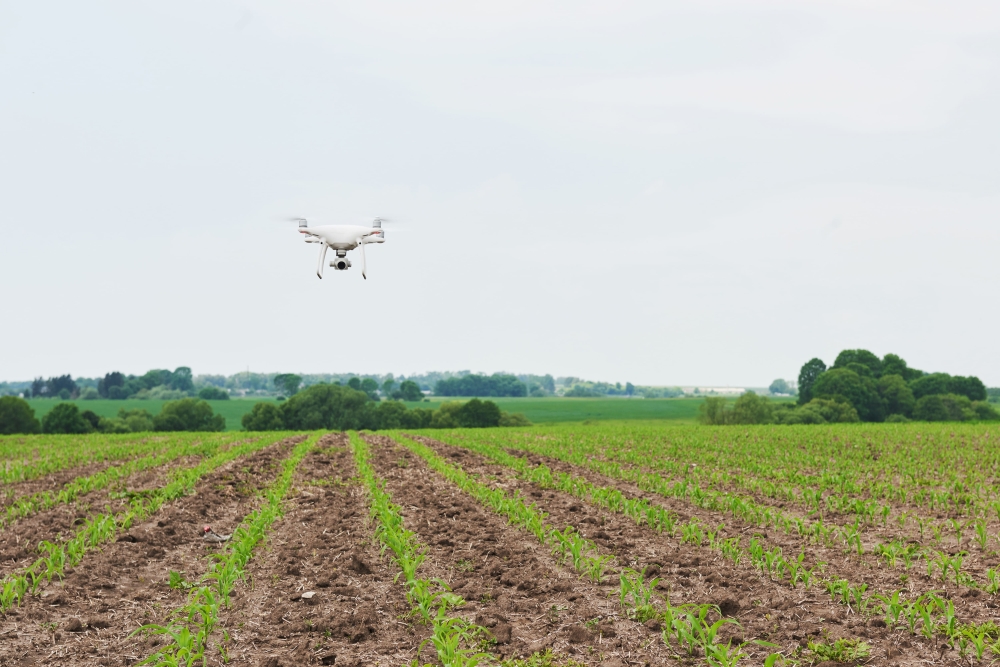 Drones are already being used in sectors such as agriculture, infrastructure inspection, mapping and surveillance. — Freepik pic