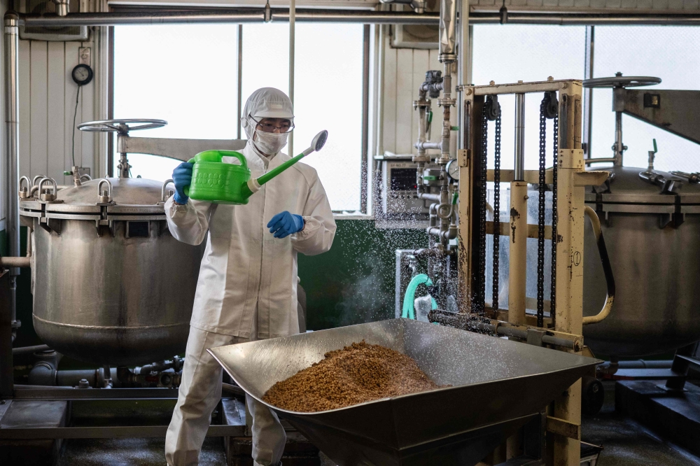An employee adds a fermenting agent to cooked soybeans at the Kamakurayama Natto production facility in Kamakura. — AFP pic