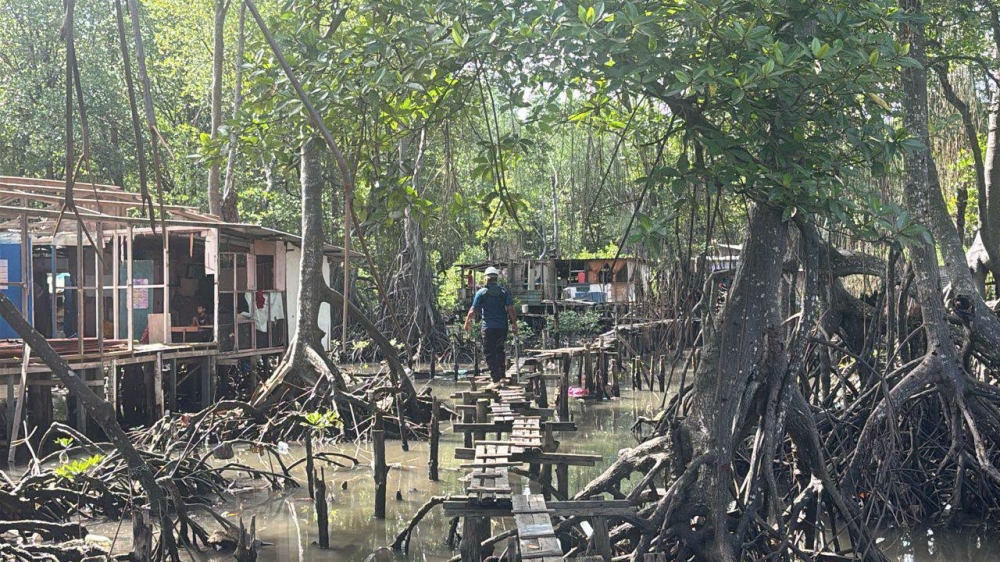 The squatter homes encroaching mangrove reserves and riverbank zones. — Picture via Facebook/Dewan Bandaraya Kota Kinabalu