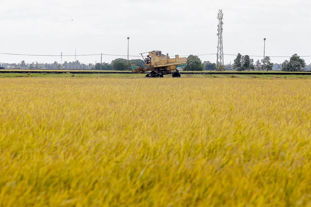 Malaysia has enough fertiliser stock for nine months, no immediate risk, says deputy minister