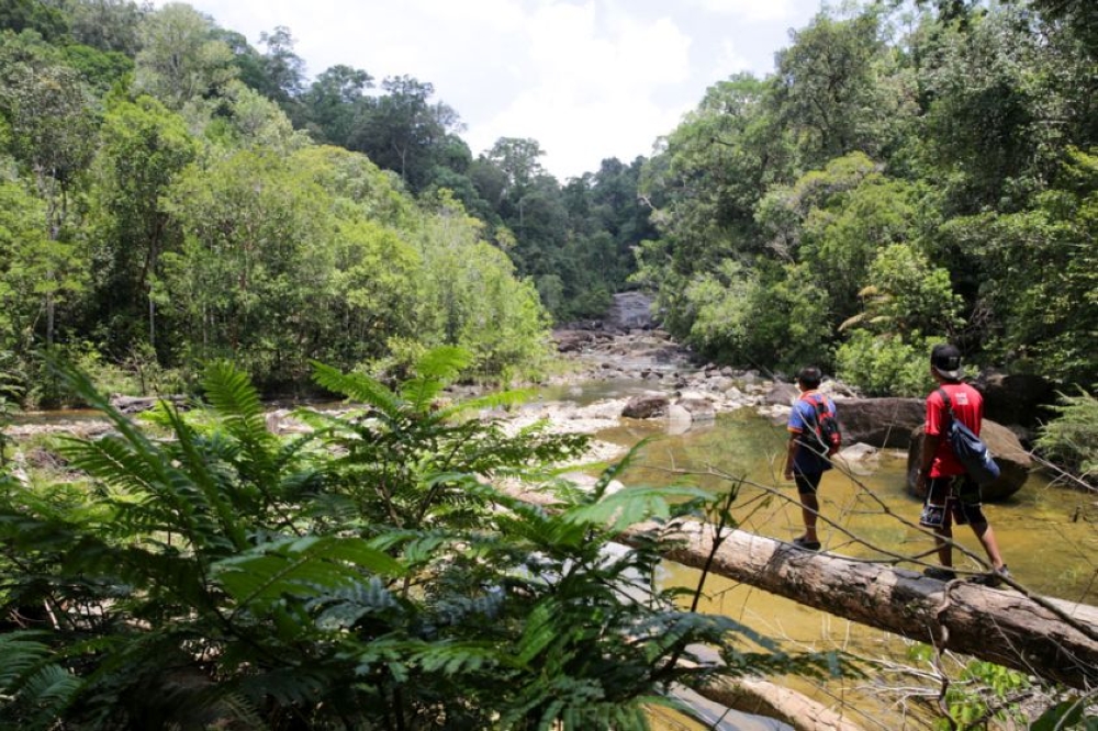 Hiking boom turns deadly with 63 fatalities and over 1,000 accidents, govt moves to tighten trail safety
