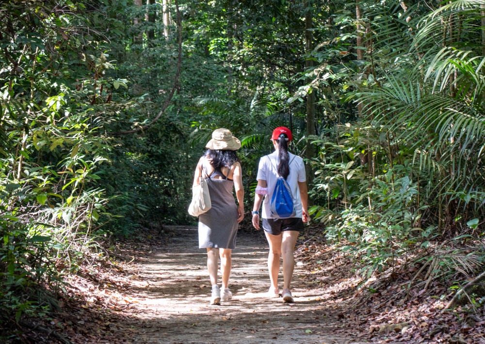 According to the author, the urge to hike, camp or pursue other recreational activities in Nature is our bodies telling us what is good for our health. — Pexels.com pic 