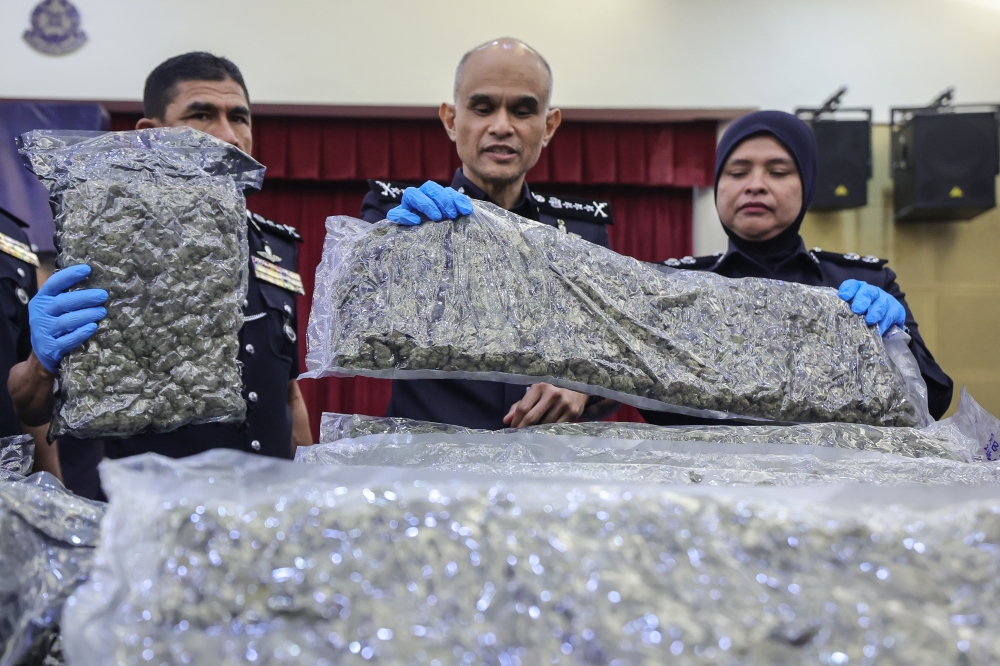 KLIA drug crackdown nets 653kg of cannabis buds, 38 arrests this year