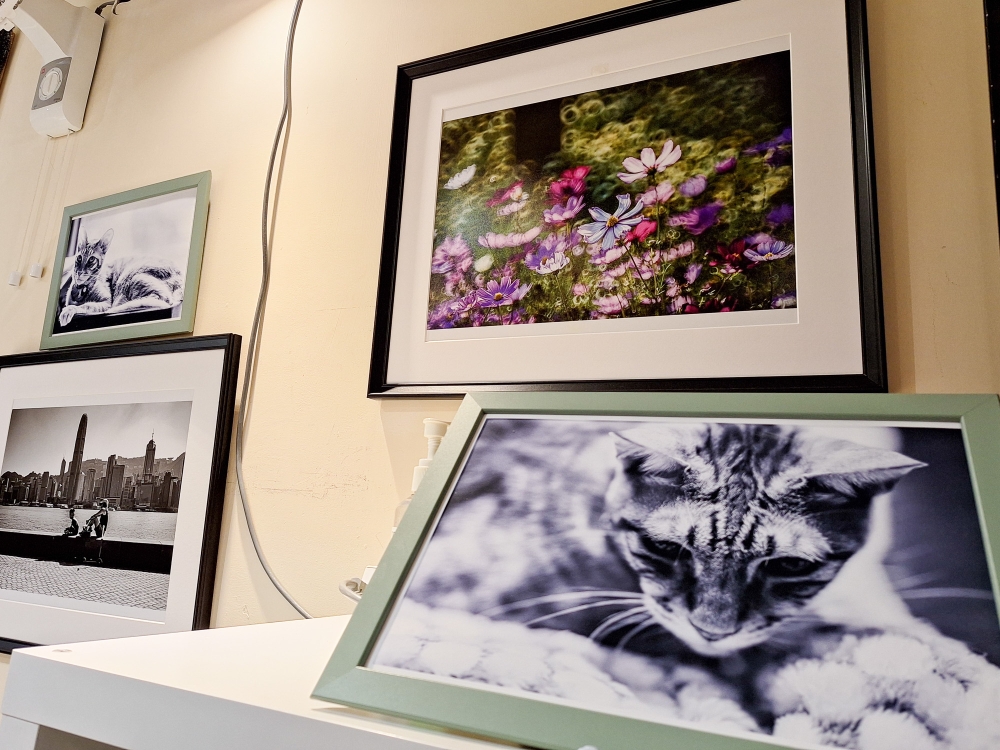 Stepping into George Private Kitchen feels like entering a living room, which is also decorated with photographs of cats and scenery taken by the chef himself.