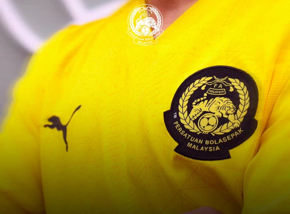 Interim Malaysia boss Tan Cheng Hoe faces race against time to get Harimau Malaya ready