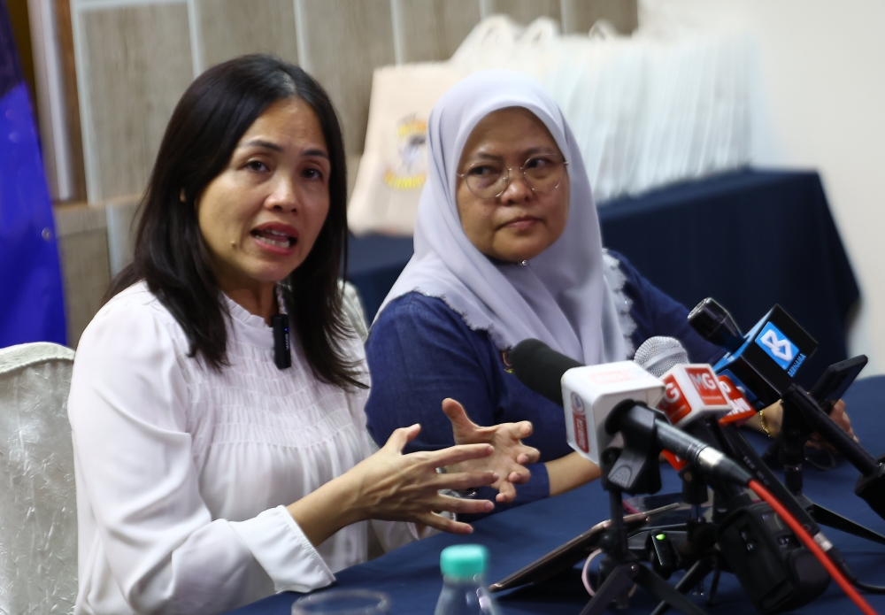 Johor polls: Two media centres and 100 NADI set up to aid coverage, MCMC to curb provocative content, says Teo