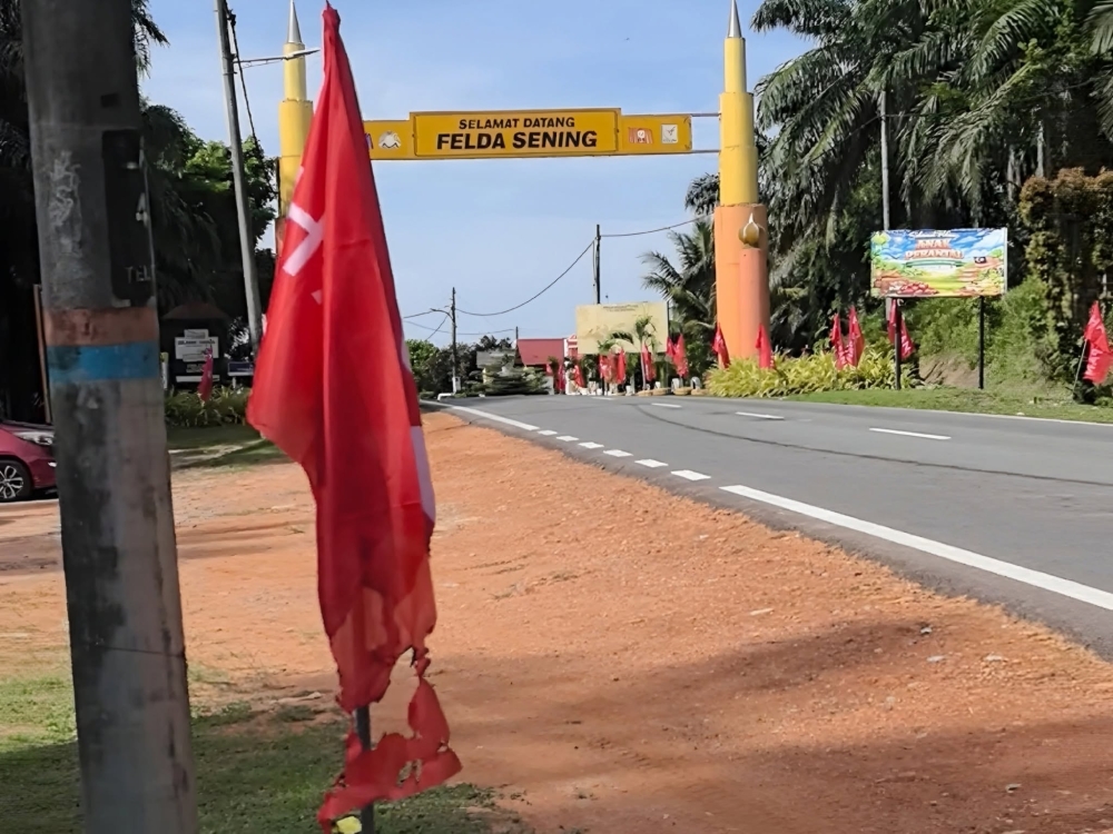 Pakatan files police report after party flag burned in Kota Tinggi