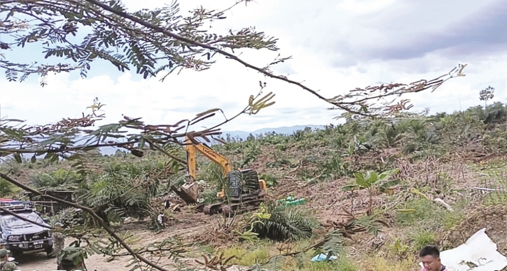 Kg Betangga Highland villagers in Sabah allege land encroachment, urge MACC, police and Native Court probe