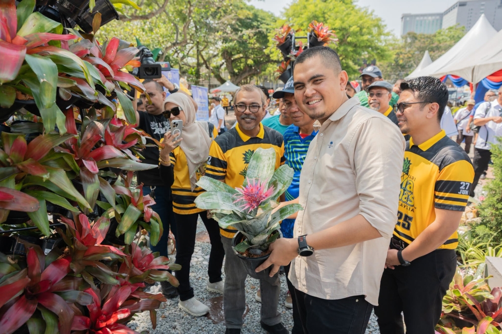Fruitful: Pineapple cultivation in Melaka has expanded 142pc since 2021