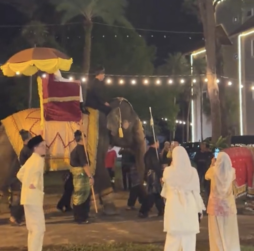Wildlife artist lodges police report after elephants used at wedding, demands Perhilitan answers