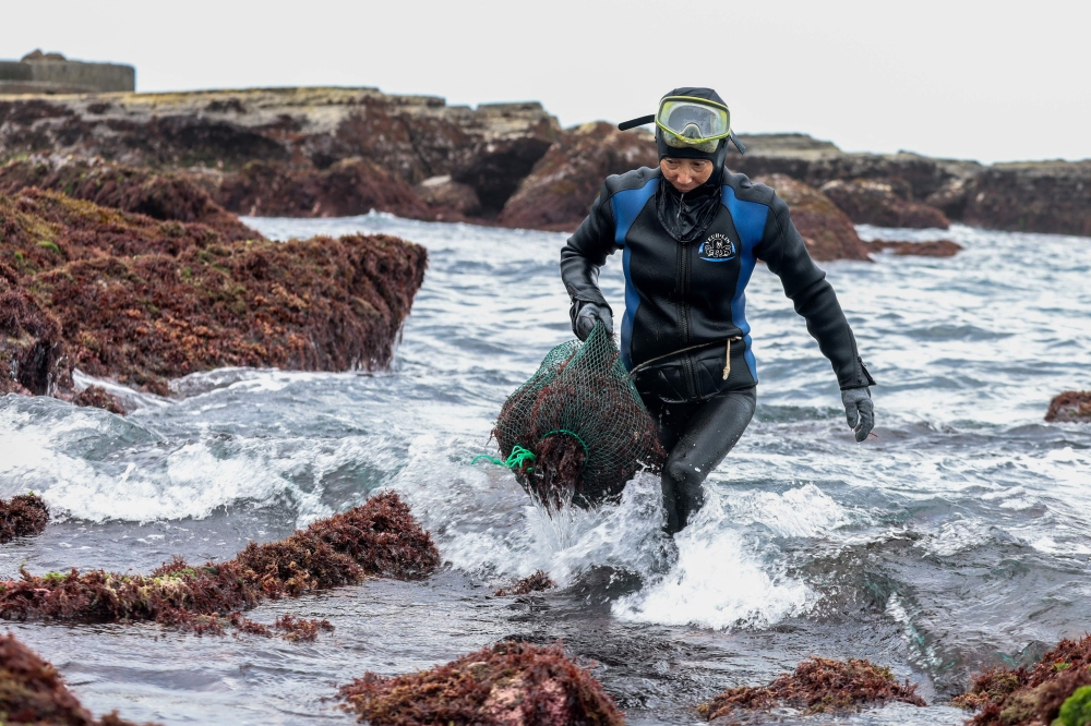 In a shrinking Taiwanese village, the last ‘sea women’ forage for a vanishing tradition