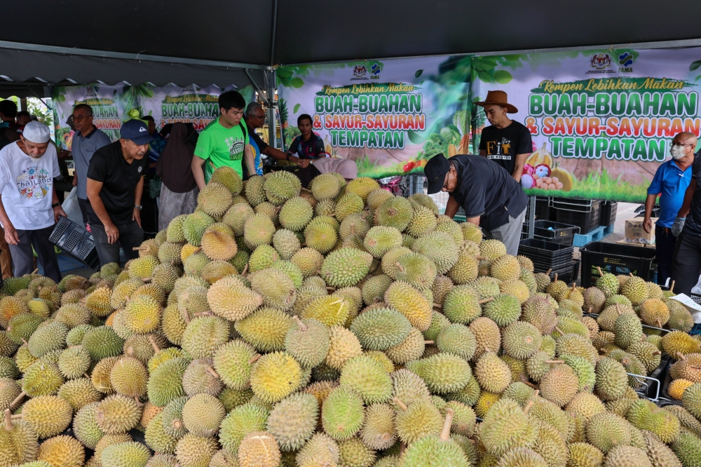 From orchard to ice-cream: Fama buys up the glut to stop Terengganu’s durians from rotting