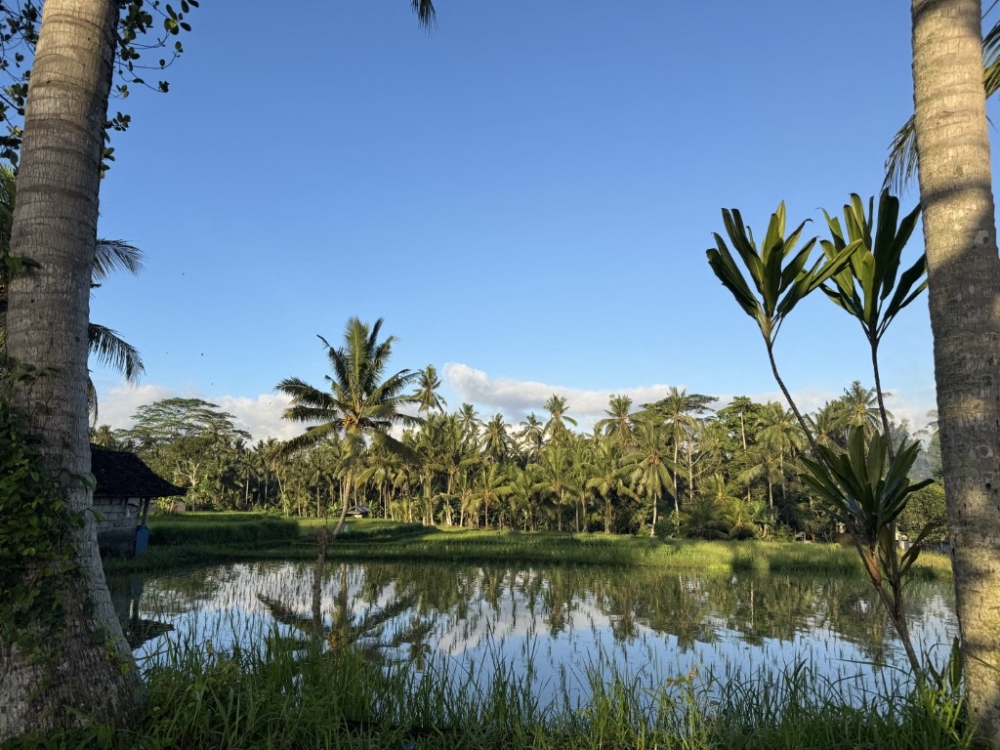 Malaysians remain Indonesia’s biggest source of foreign tourists in May