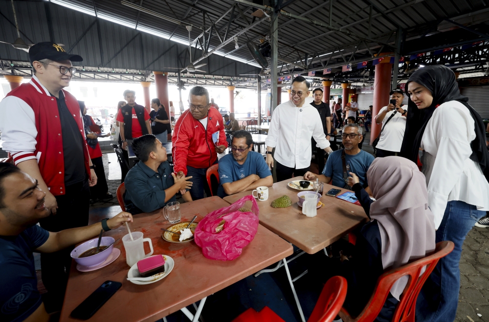 DAP bets on new generation of candidates to shake up Johor election