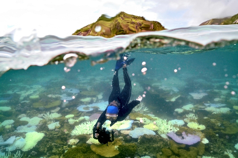 Australia’s Great Barrier Reef avoids Unesco ‘in danger’ listing despite mass bleaching concerns