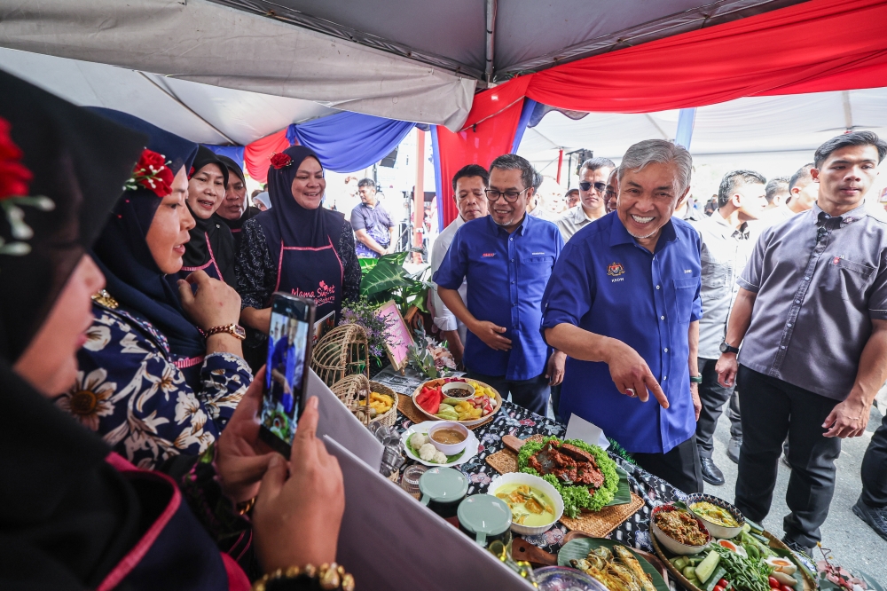 Food security drive: DPM Zahid vows 50pc import reduction by 2050, phased cuts already stabilising chicken prices