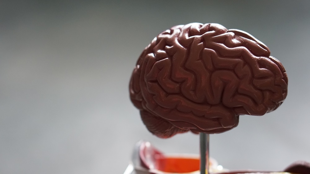 In an article titled ‘Your brain was never designed for this much bad news’ in ScienceDaily, researchers suggest approaches that can help manage news fatigue and protect mental health. — Unsplash pic