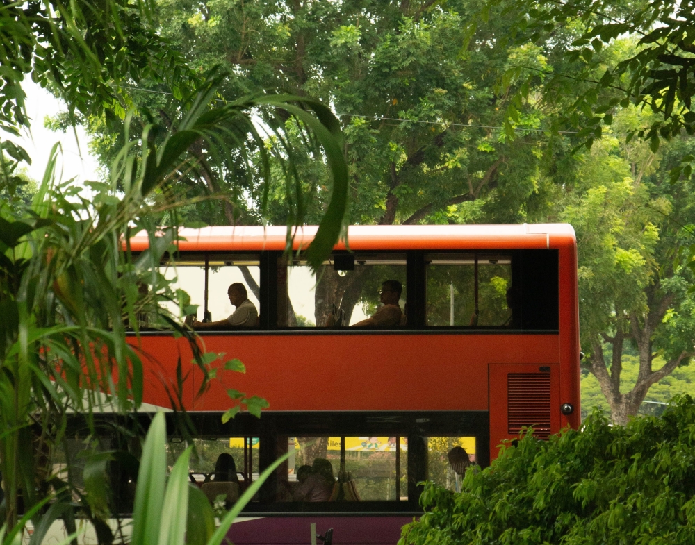 Singapore bus driver jailed after driving off while passenger was alighting, causing fatal fall