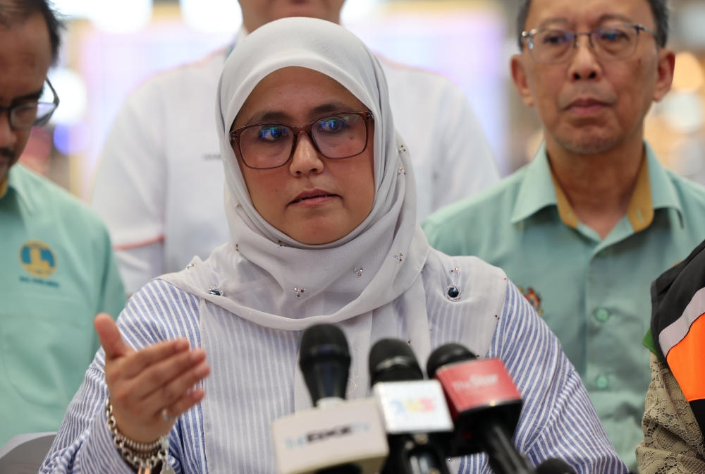 PAC: Delays in fleet replacement cost government nearly RM29m
