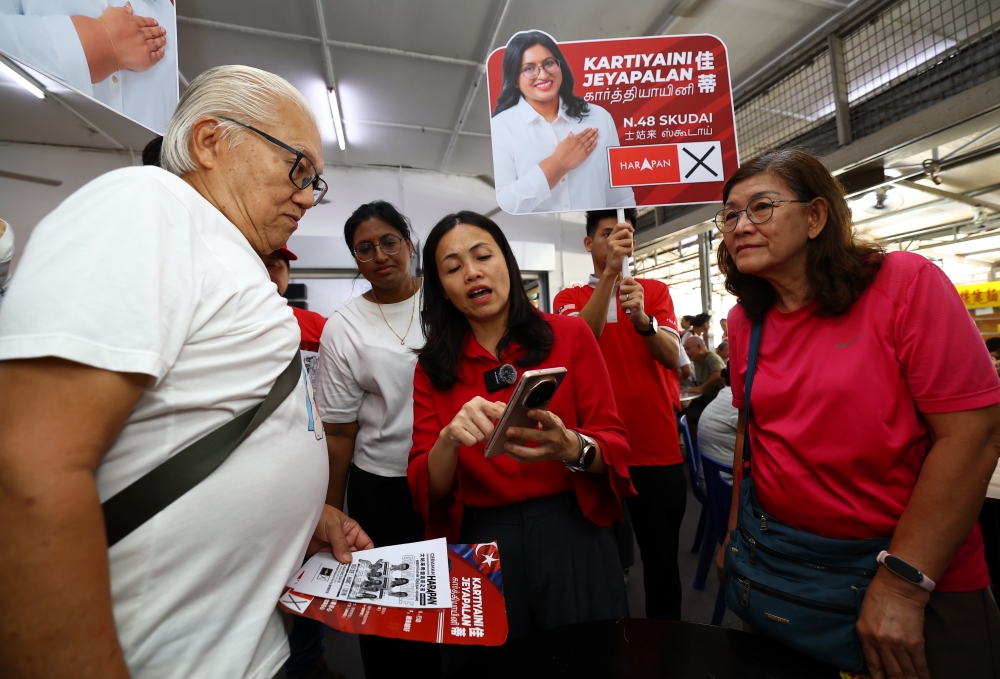 Johor polls: Teo Nie Ching urges voters to return home, beware of fake news