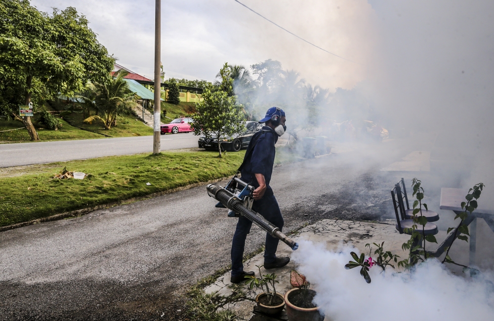 Malaysia records over 42,000 dengue cases, 34 deaths this year amid sharp rise in Klang Valley, says MOH