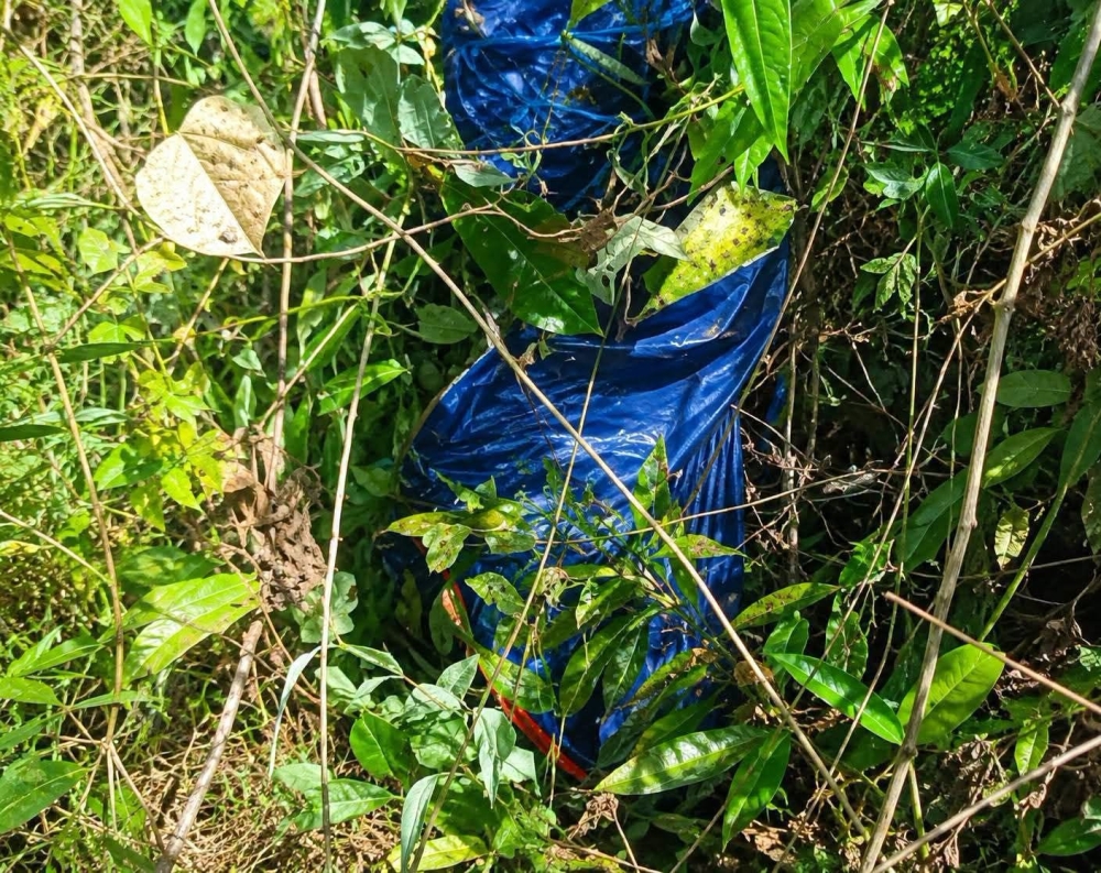 Man’s hunting trip in Sabah forest ends in death, two companions face murder probe as police seize homemade guns