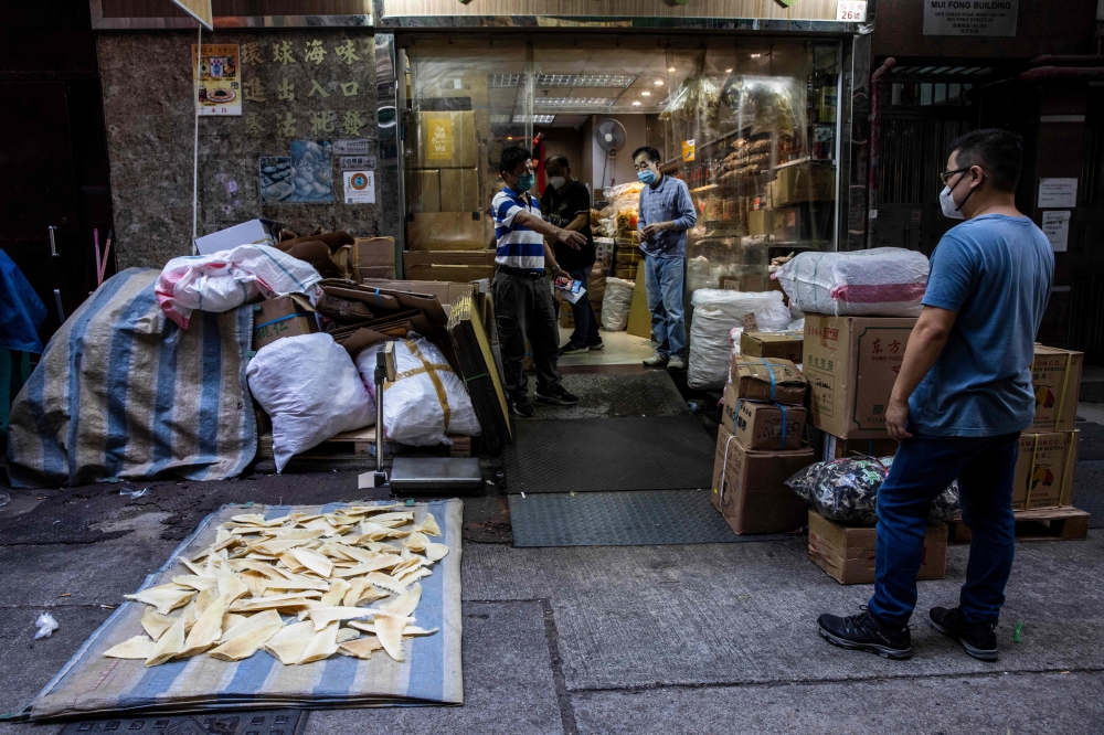Illegal shark fins flood Senegal port as Chinese vessels flout bans, conservationists alarmed