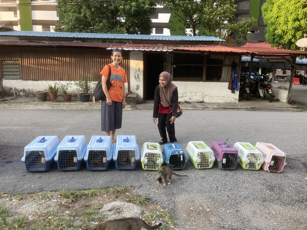 Catsoterra is powered by volunteers who will trap stray cats, transport them to the veterinary clinic, monitor their recovery before returning them to where they were found. — Picture courtesy of Catsoterra