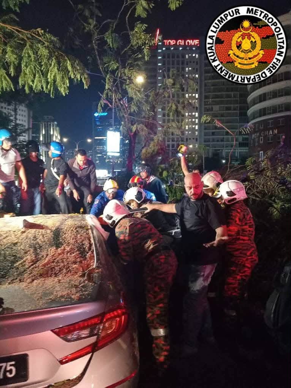 DBKL launches probe with arborists after fallen tree kills man on Jalan Tun Razak