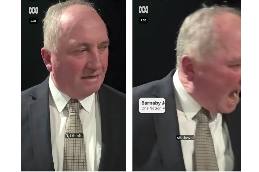 ‘Sit down!’ Australian politician snaps at dog before turning on interviewer on live TV