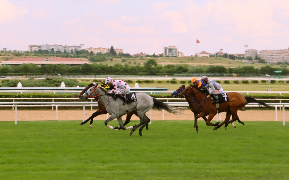 Singapore bookie aged 69 jailed for illegal betting on Hong Kong horse races