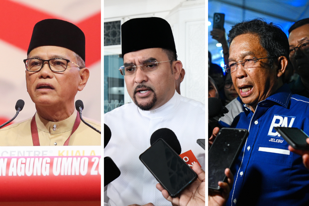 Umno leaders cool to Hamzah Zainudin’s ‘Perikatan Barisan Nasional’ proposal