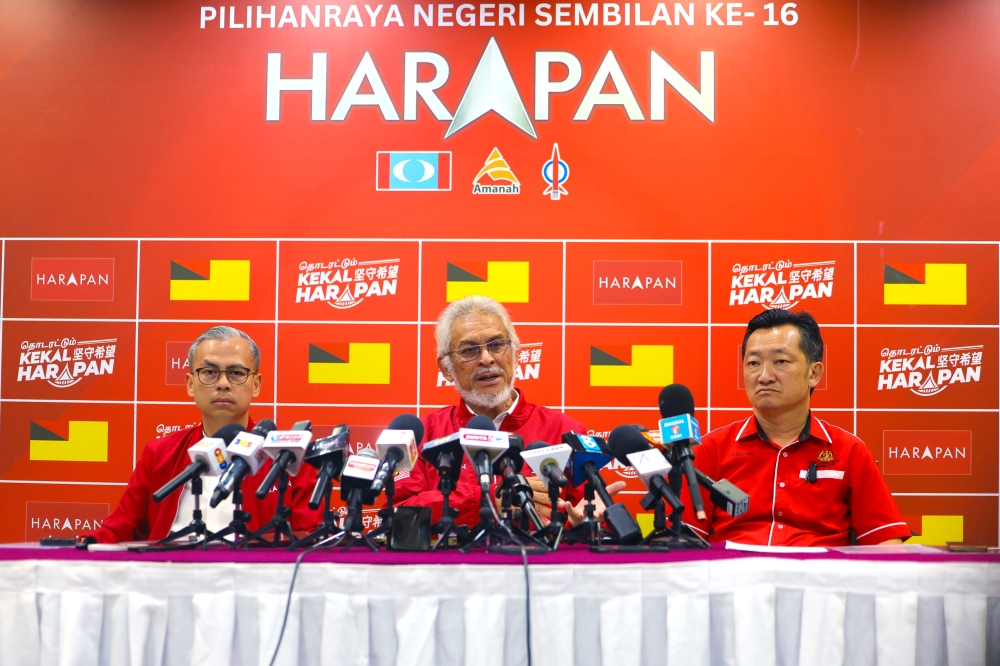 Pakatan pushes back against ‘sole voice’ claim for Malay-Muslims