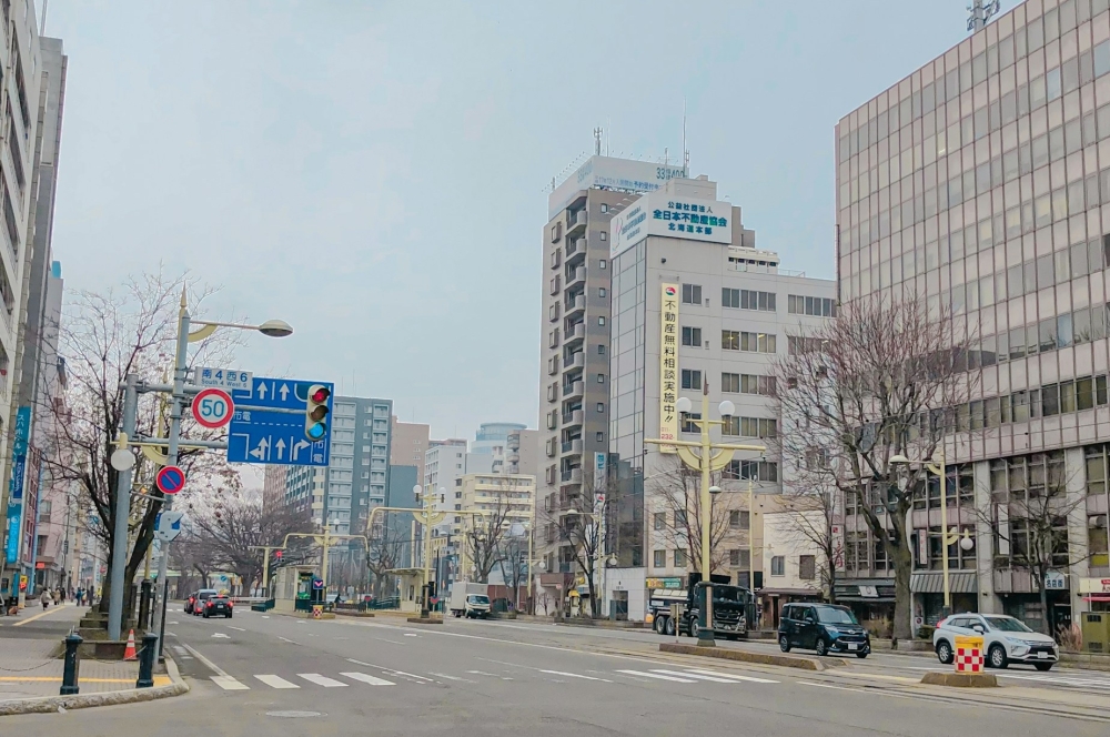 Keep left please: Rental car crashes quadruple, Japan paints lanes, plants bollards to steer tourists