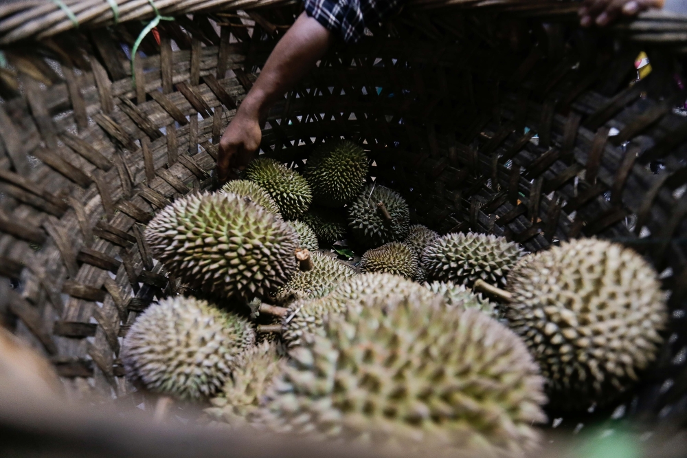 Malay Mail