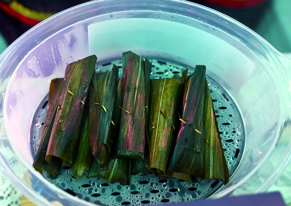 Sarawak entrepreneur gives kelupis pandan twist while preserving northern heritage and Kedayan roots