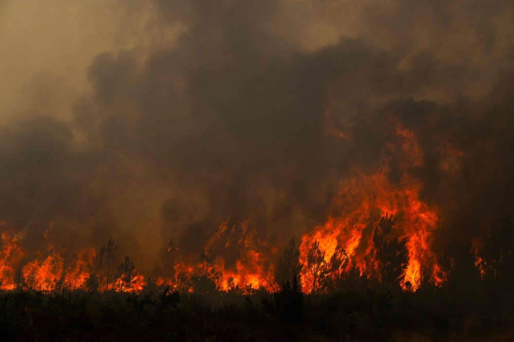 This photography shows a burning forest during a wildfire near the town of Lege-Cap-Ferret, south-western France July 25, 2026. — AFP pic