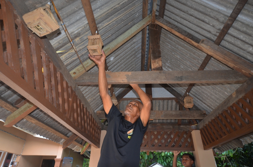Ramli Sulaiman says demand for quality bush cricket cages has grown alongside the popularity of local singing competitions, creating new opportunities for rural artisans. — Bernama pic