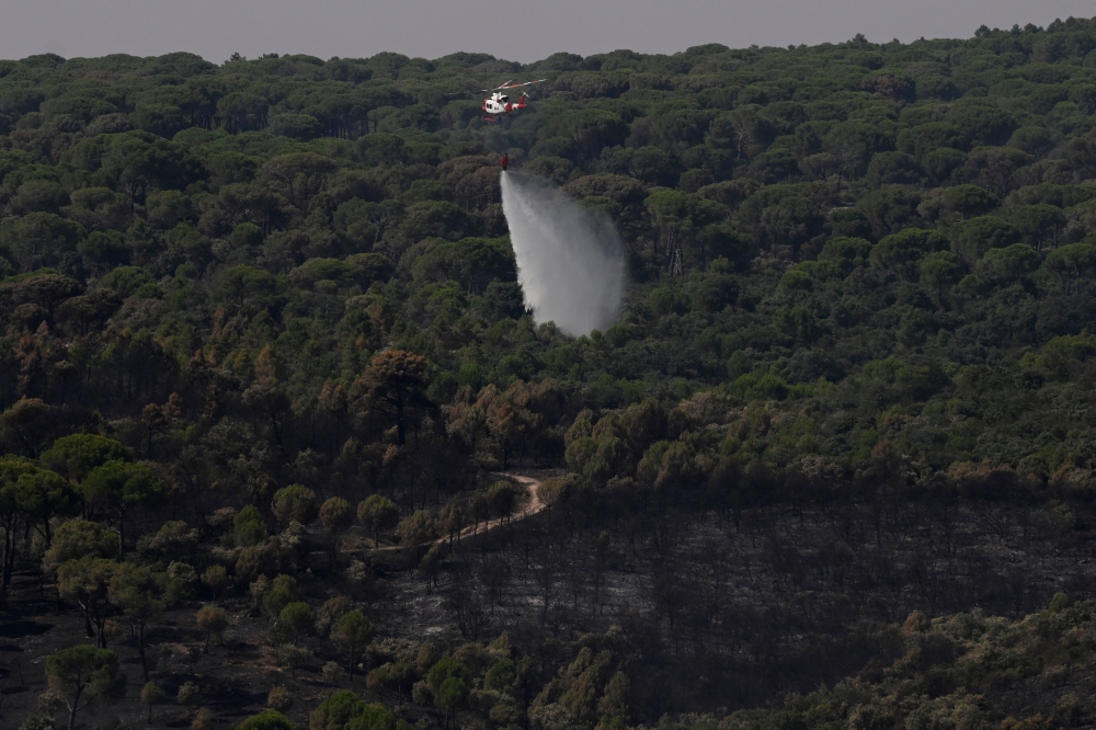 Spain wildfires: Thousands return as crews battle to contain flames