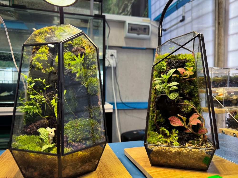 Diorama-style terrariums resembling fantasy worlds are among the most popular designs requested by Muhammad Syukur’s customers. — Bernama pic