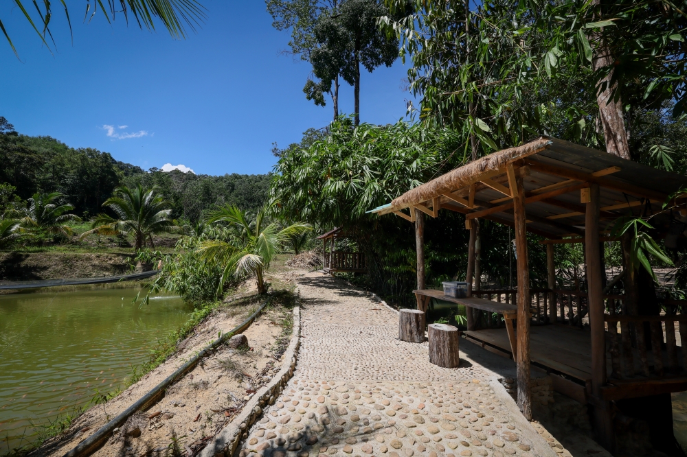 A view of the FMC Kelah Eco Park. — Bernama pic