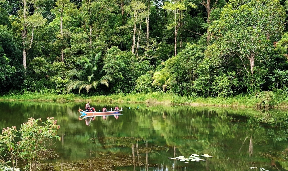 Jeferry Siew and his team in action, trying to capture the elusive crocodile. — The Borneo Post pic