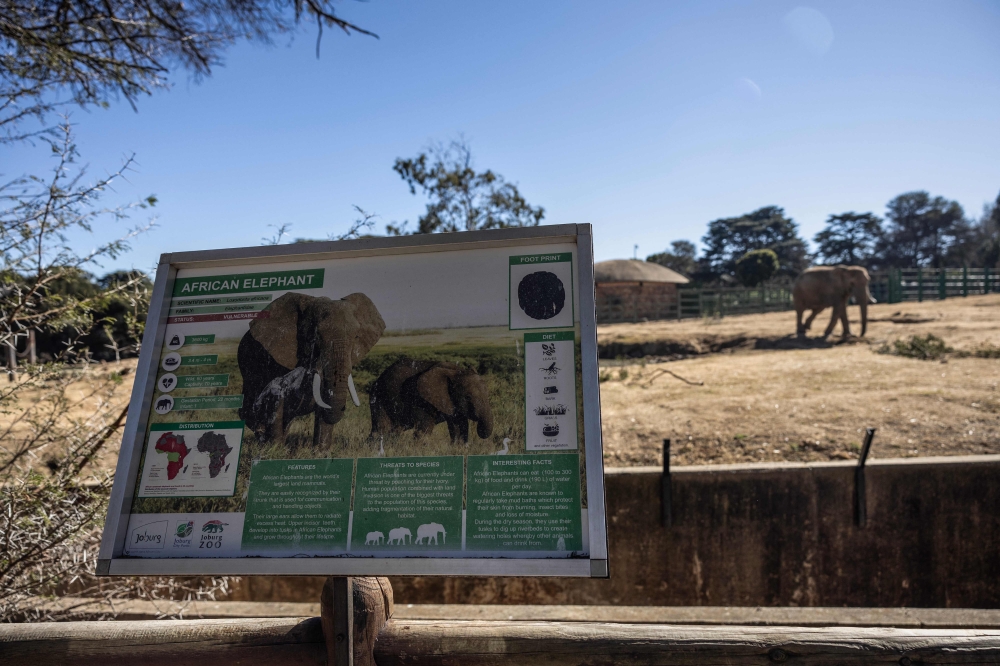 A general view shows the information board next to the elephant enclosure at the Johannesburg Zoo in Johannesburg on July 24, 2026. — AFP pic