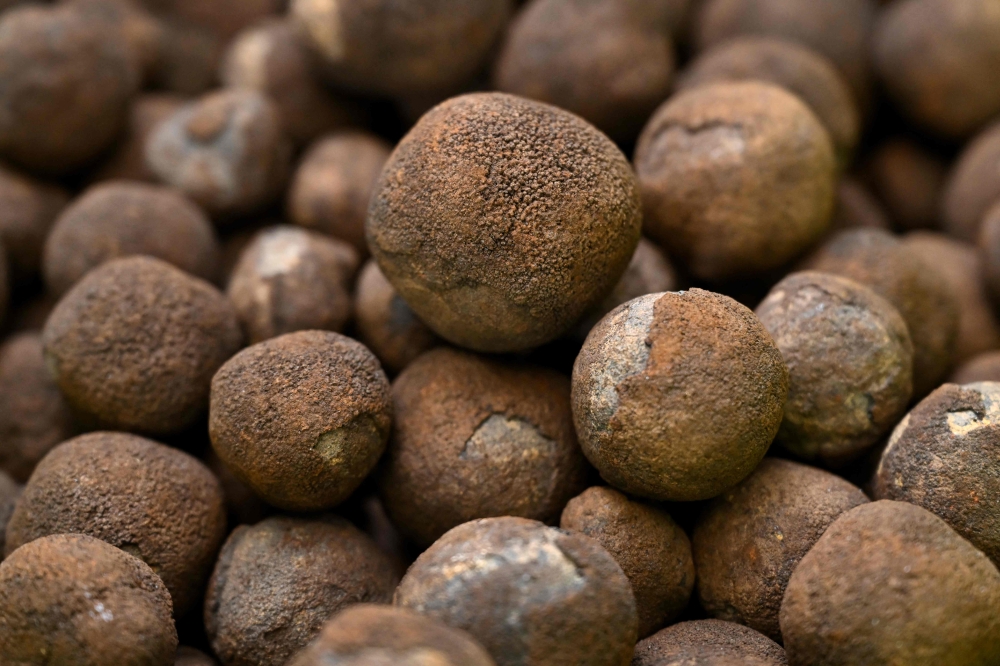 This file picture taken on June 11, 2025 on Rarotonga in the Cook Islands shows polymetallic nodules, bulbous lumps of rock that are rich in battery metals such as cobalt and nickel which carpet huge tracts of Pacific Ocean seabed. — AFP pic