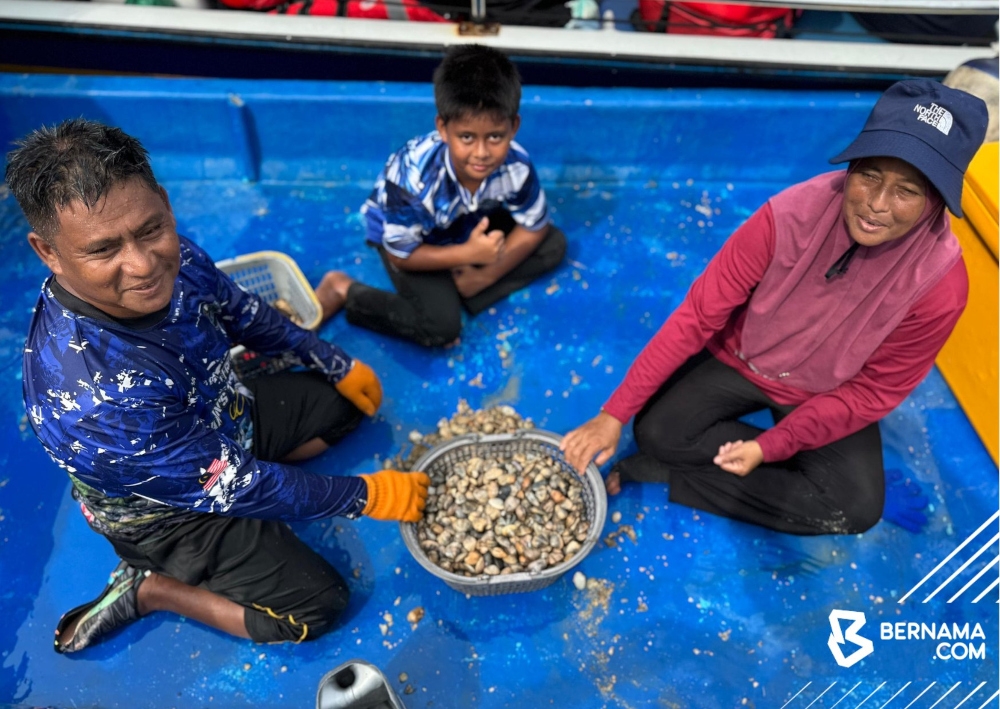 Rahman Ahmad’s wife, Rubiha Abd Hamid, 48, said gayam snails are a seasonal delicacy, with the harvesting season typically running from July or August until December, particularly during low tide. — Picture from X/Bernama 