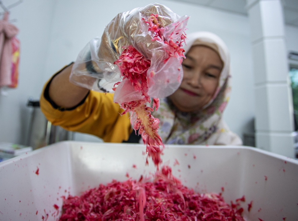 Snack entrepreneur Mariyaton preparing torch ginger serunding. — Bernama pic