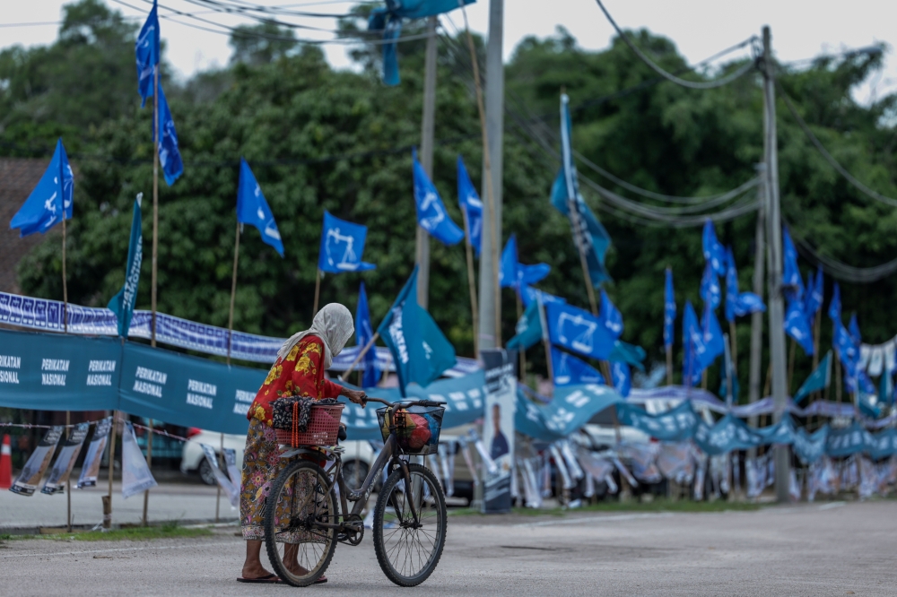 A woman pushes her bicycle along a road lined with Barisan Nasional and Perikatan Nasional flags in Rompin in this file picture dated December 4, 2022. — Bernama pic